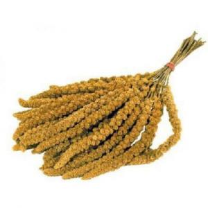 Trosgierst Chinees 500gr of 1kg