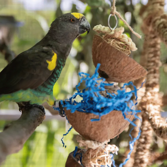 Back Zoo Nature Coco Bucket tower