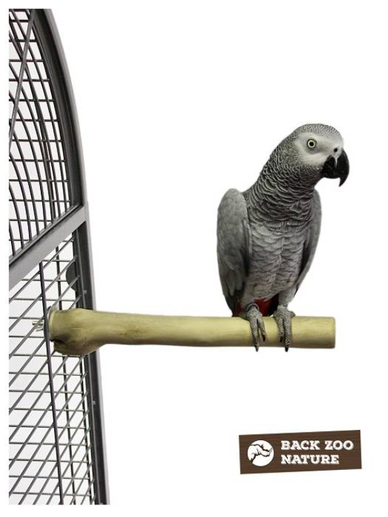 Back Zoo Nature Java Single Perch small