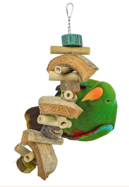 Back Zoo Nature Coconut Slices