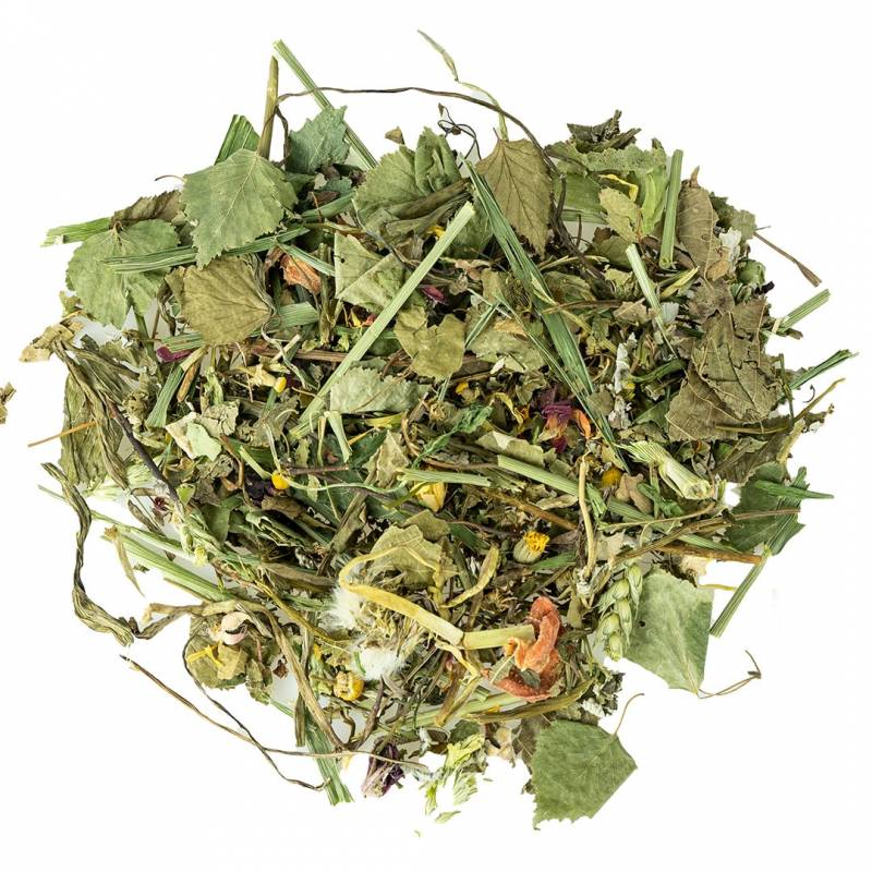 Back Zoo Nature Garden Discovery Mix 100 gram