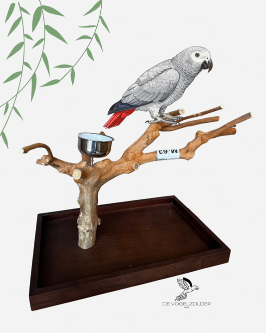Java Table M