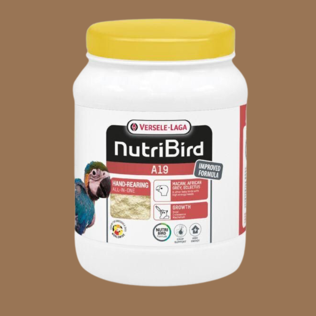 Nutribird A19 Papegaai