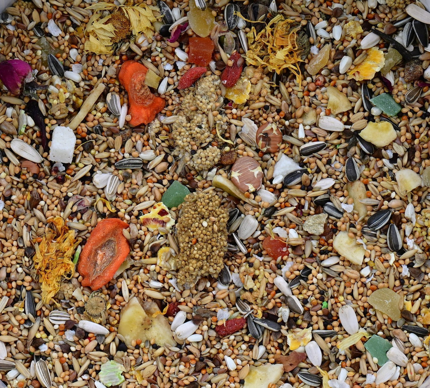 Hareco Pyrrhura Select zonder pellets