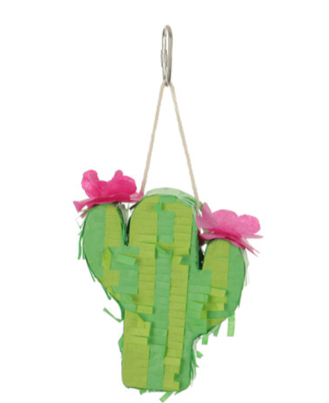 Cactus Pinata Multi-color
