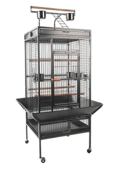 Papegaaienkooi Paolo Antraciet