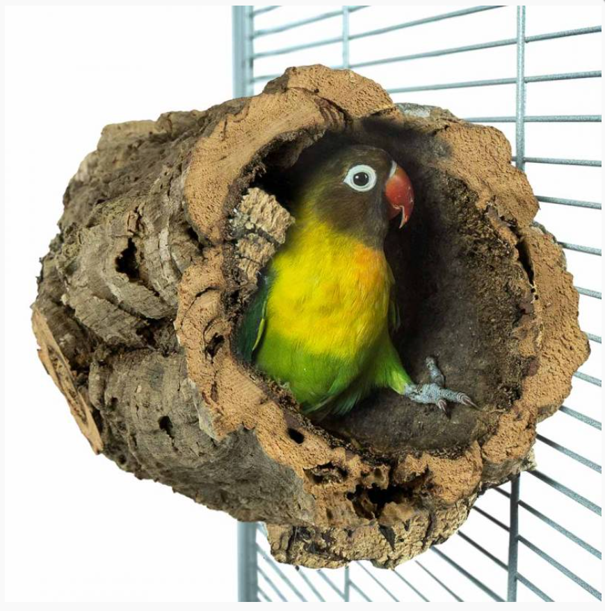 Back Zoo Nature TrunkHut Small