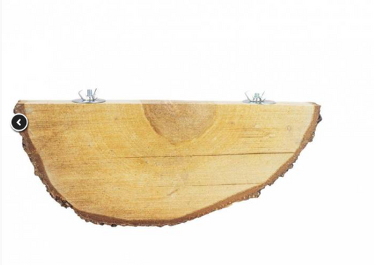 Back Zoo Nature Half Wood Slice