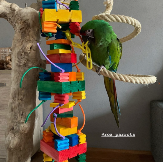 Zoo-Max Hercule XL