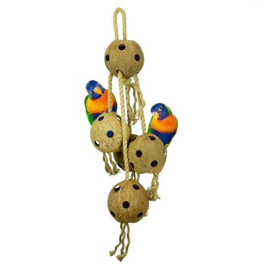 Back Zoo Nature Coconut Chain XL