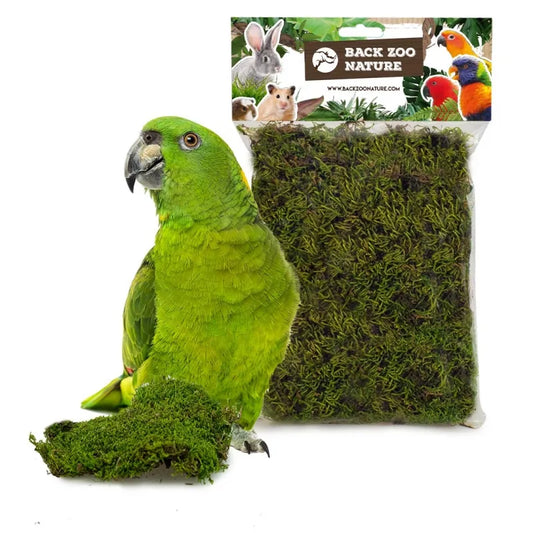 Back Zoo Nature Forest Moss Bird 70 gram