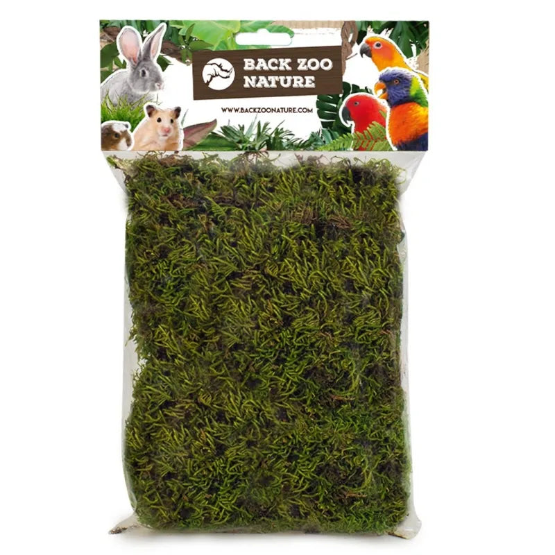 Back Zoo Nature Forest Moss Bird 70 gram