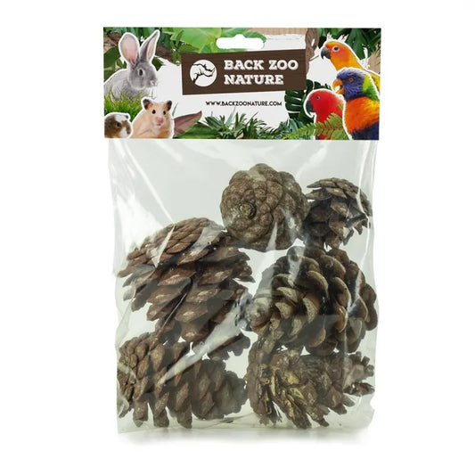 Back Zoo Nature Forest Pine Cones for Birds