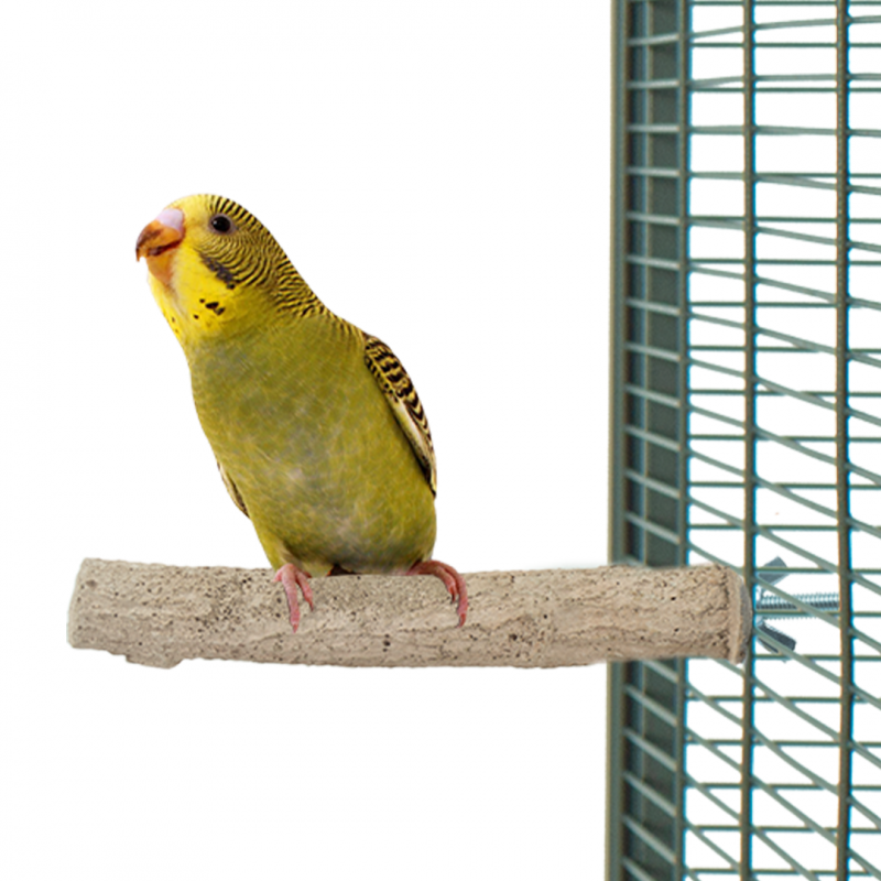 Back Zoo Nature SuperStone S Kleine Parkiet 12 cm