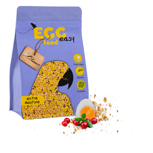 Egg food easy soft